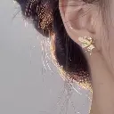 1754308293951.webp